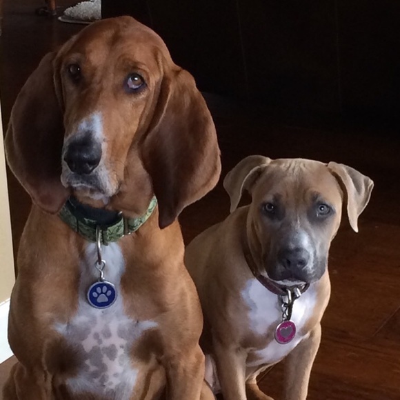 Meet your Posher, theshoehound - Picture 1 of 2